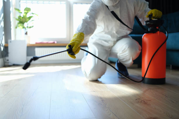 Best Wasp Removal Services  in Goodman, MS