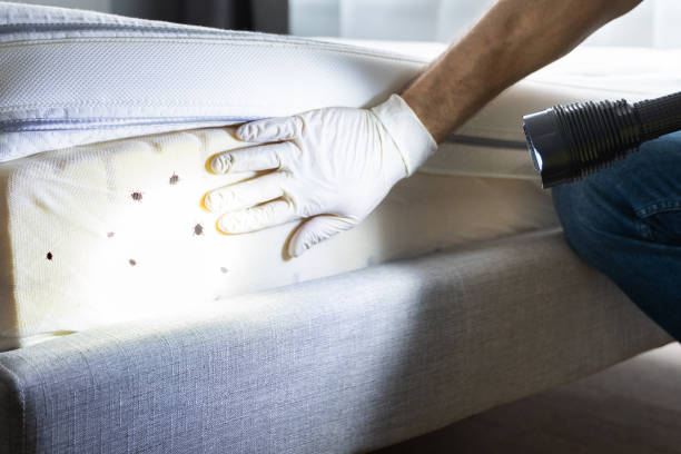 Best Mosquito Control Services  in Goodman, MS