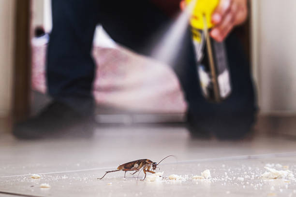 Best Exterminator Services  in Goodman, MS