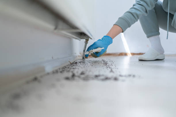 Goodman, MS Pest Control Company