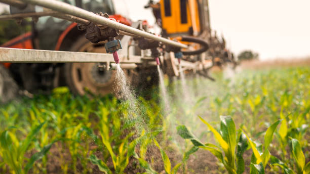 Professional Pest Control in Goodman, MS